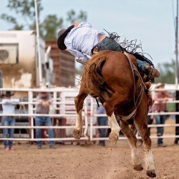 Cowboy Riding Wild Bronco At Country Rodeo