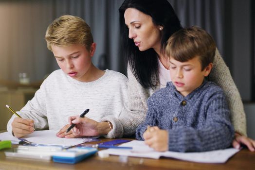 Shot of a mother helping her sons with their homework.