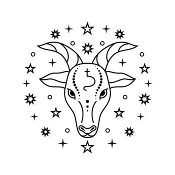 Capricorn zodiac sign on white