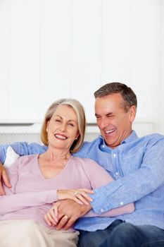 Cheerful senior man with wife having fun together - copyspace. Portrait of a cheerful senior man with wife having fun together - copyspace.