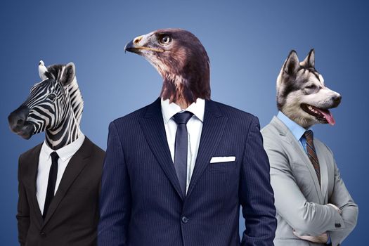 Always keep a hawks eye view on the competition. Conceptual image of animal heads on business people.
