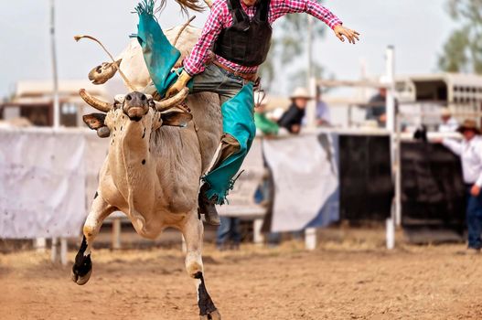 Rider Leaps Off Bucking Bull At Rodeo