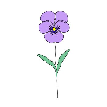 Violet flower on white