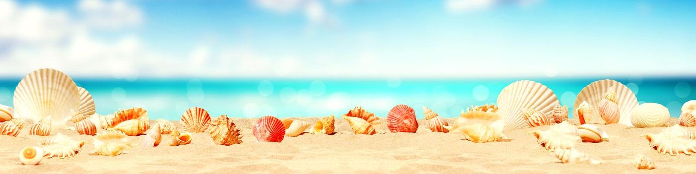 Landscape with seashells on tropical beach - summer holiday.