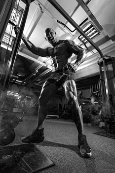 Bodybuilder athlete trains in the gym. Sporty muscular guy with training apparatus. Sport and fitness motivation. Individual sports recreation with bodybuilding.