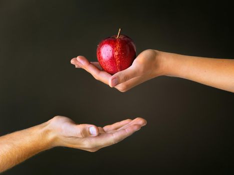 Gifts from The Garden of Eden. Cropped studio shot of a woman offering a man a red apple against a dark background.