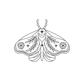 Moth in line art