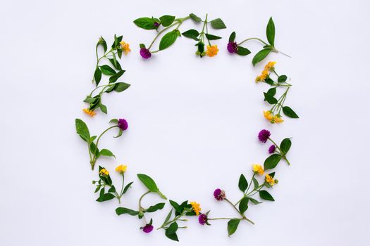 Frame Colorful bright pattern of meadow herbs and flowers on white background. Flat lay, top view.
