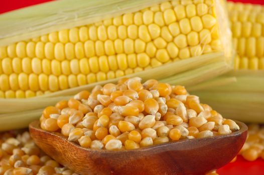 Bowl with corn kernels and corn cob with leaves