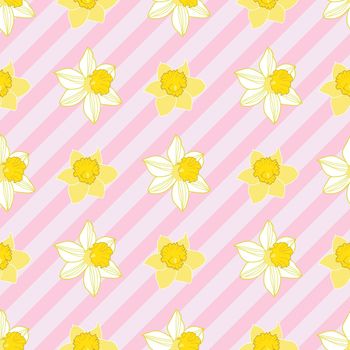 Seamless daffodils pattern on pink diagonal stripes