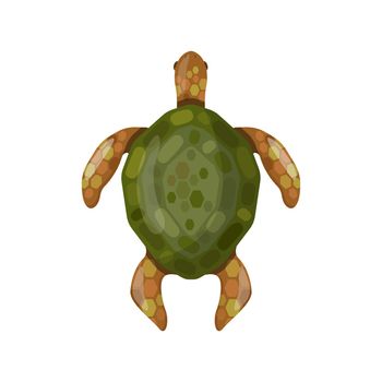 Turtle in cartoon style