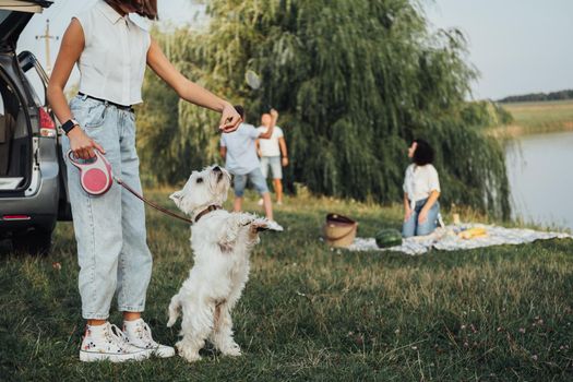 Teenage Girl Playing with West Highland White Terrier Dog on Background of Her Family Having Picnic Outdoors by the Lake