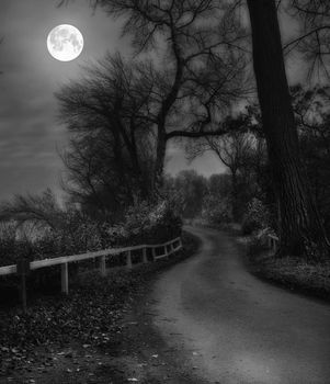 Moon road. Moon and road in Danish landscape at night - Jutland..
