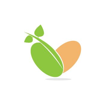 Soybean icon logo vector 