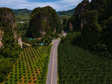 Beautiful road with traffic between palm trees and limestone mountains in Krabi Thailand