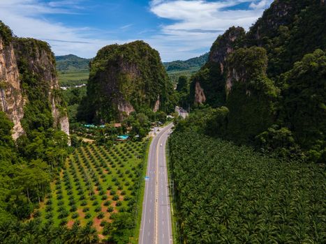 Beautiful road with traffic between palm trees and limestone mountains in Krabi Thailand