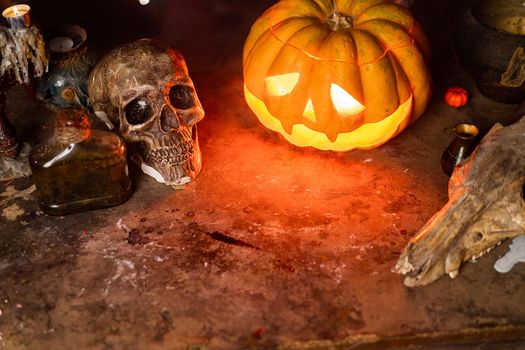 Halloween. Scary Halloween pumpkin with carved face on table in dark room with human skull and animal skull