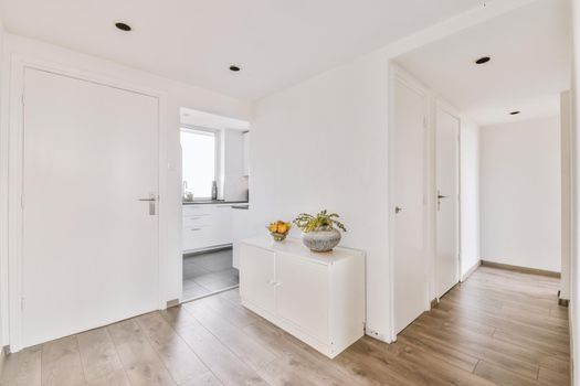 Spacious bright white kitchen with corridor