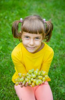 The child eats white grapes. Selective focus.