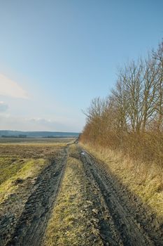Muddy dirt road in the countryside near a grass field in Denmark. Panorama landscape of a vanishing track through rural farmland in fall against a cloudy horizon. Peaceful and serene nature scene.