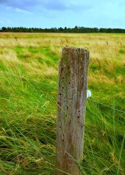 Wooden post and electric fence in remote field, meadow in the countryside during the day. Fencing used as boundary to protect farm animals from escaping from green pasture and farmlands in the country