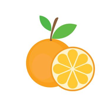 Orange fruit icon template vector 