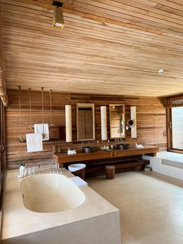 Interior of luxury bathroom with brown tiles