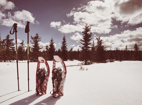Winter equipment for trek:  snowshoes and trekking poles. 