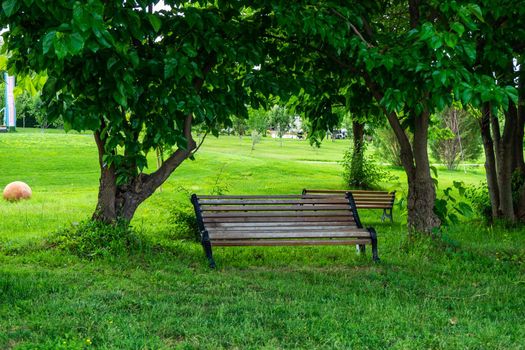 Park bench in the park