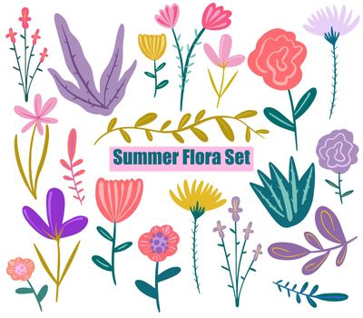 Vector Hand painted summer flora set. Wild flowers. Sketch wildflowers and herbs nature botanical elements.