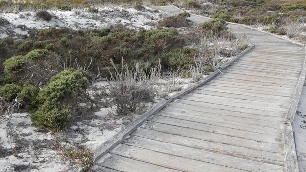 Wooden boardwalk trail, sand dune, California coast. Footpath walkway or footway