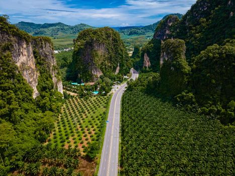 Aerial view of road and palm oil plantation in Krabi Thailand