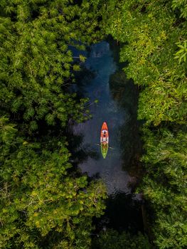 couple in kayak in the jungle of Krabi Thailand, men and woman in kayak at a tropical jungle in Krabi mangrove forrest
