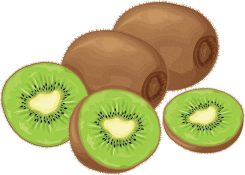 Kiwi fruit. Ripe kiwi. Image of a ripe kiwi fruit. Vitamin fruit. Organic vegetarian products. Vector illustration isolated on a white background