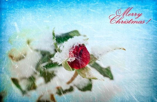 Merry Christmas and happy New year greeting card.