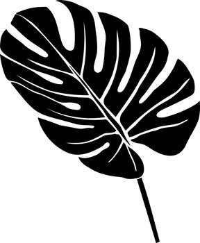 Monstera or palm leaf isolated silhouette.