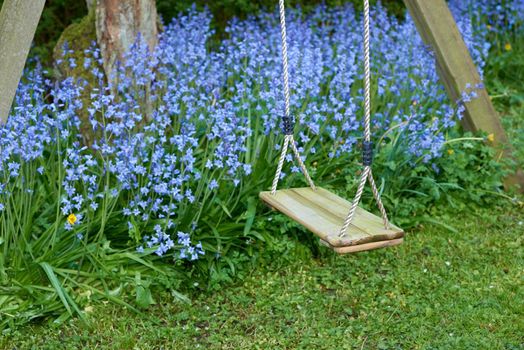 A wooden tree swing hanging with nylon rope and a background bush of vibrant bluebell flowers. Serene, peaceful private home backyard with blue scilla siberica plants growing in empty tranquil garden