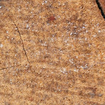 Closeup of a cracked stone and red brick. A textured background of chipwood, cracking earth, sedimentary mineral or tile with copyspace. Underground geological strata rock or sand for geology studies