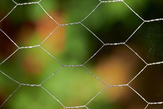 Closeup of a mesh metal fence with blur garden in the background. Details of a steel iron gate around a park. Mesh metal fence surrounded by green tree leaves. Plain twisted wire pattern and texture