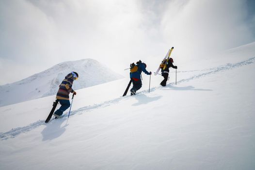 Three friends snowboarders skiers go uphill with a snowboard and skis in their hands for backcountry or freeride