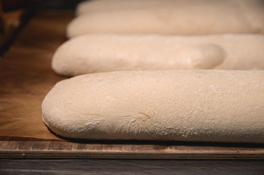 Several raw French rolls lie on a wooden baking sheet in the bakery's bread room before baking in the oven.