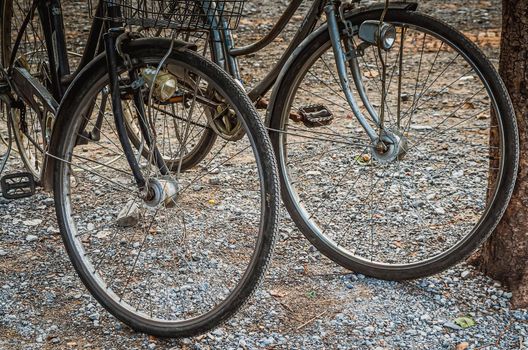 Close up vintage wheel of bicycles abstract show vacation recreation sport travel