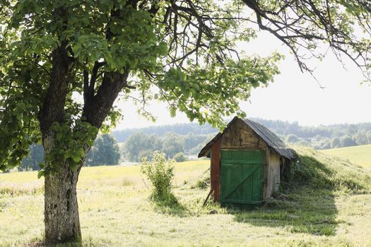 Small wooden house in rural field, view on a farmhouse in countryside, summer scenic landscape