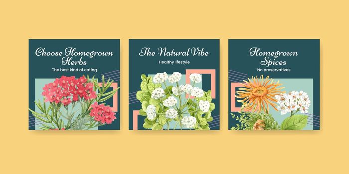 Banner template with herb homegrown concept,watercolor style