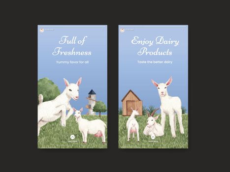 Instagram template with goat milk and cheese farm concept,watercolor style