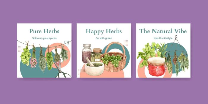 Banner template with herb homegrown concept,watercolor style