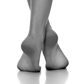 Female feet isolated on white background 