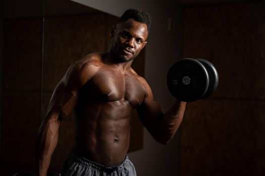 Attractive african american man doing biceps exercise with dumbbells.