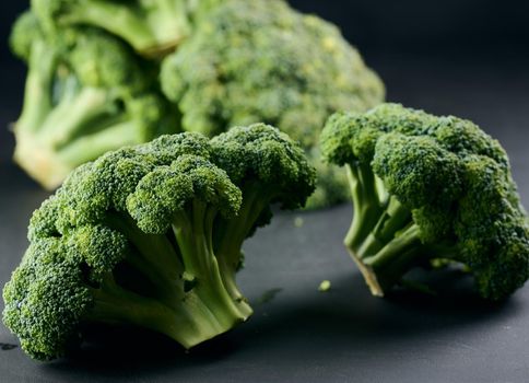 Fresh green head of broccoli on black background