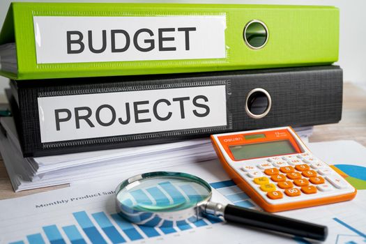 Budget and Projects. Binder data finance report business with graph analysis in office.